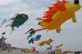 claude g les cerfs volants de berck tl